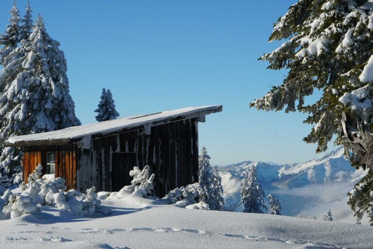 Lorem ipsum Thr dolor Nam